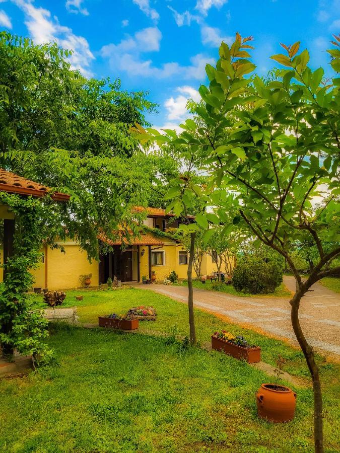 Villa Anthemia Науса-Иматьяс Экстерьер фото